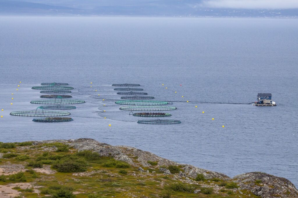 fish farming, norway, nature-6576867.jpg